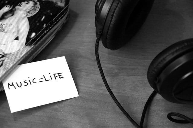 Breakingpic Black and White Headphones